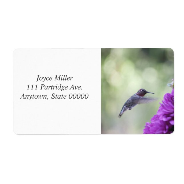 Hummingvogel mit lila Dahlien (Vorne)