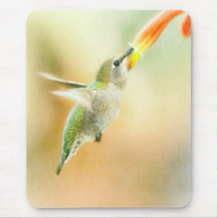 Hummingvogel Mousepad