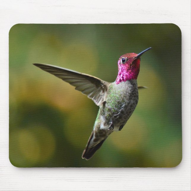 Hummingvogel Mousepad (Vorne)