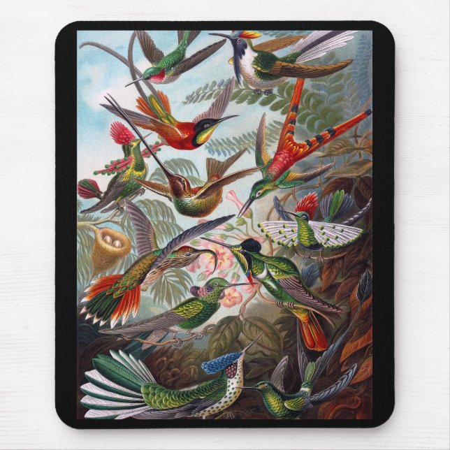 Hummingvogel Mousepad (Vorne)