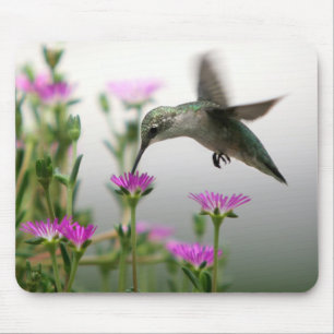Hummingvogel Mousepad