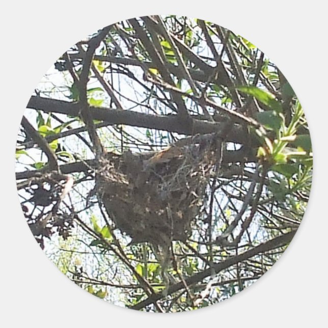 Hummingvogel-Nest in Lilac Shrub Square Sticker (Vorderseite)