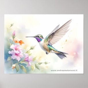 Hummingvogel Poster