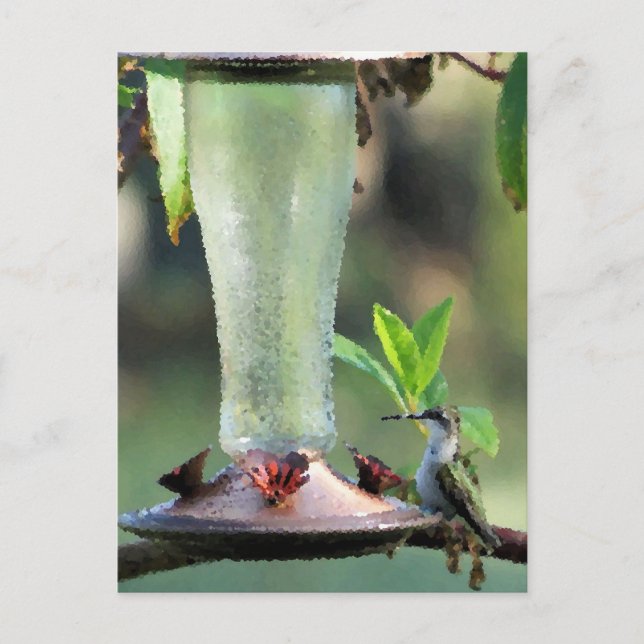 Hummingvogel Postkarte (Vorderseite)