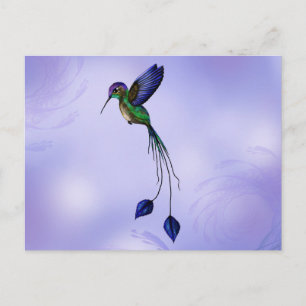 Hummingvogel Postkarte