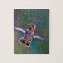 Hummingvogel