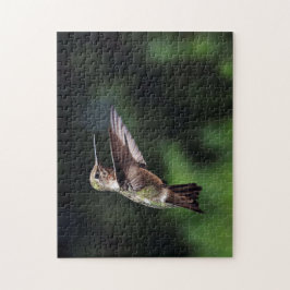 Hummingvogel Puzzle