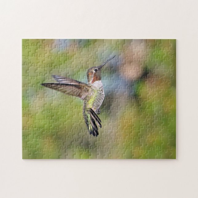 Hummingvogel Puzzle (Horizontal)