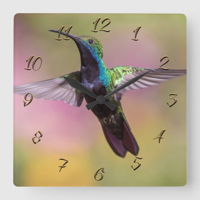 Hummingvogel Quadratische Wanduhr (Vorderseite)