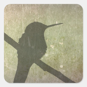 Hummingvogel Quadratischer Aufkleber