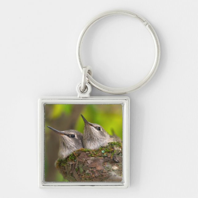 Hummingvögel Schlüsselanhänger (Vorne)