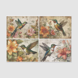 Hummingvögel Seidenpapier