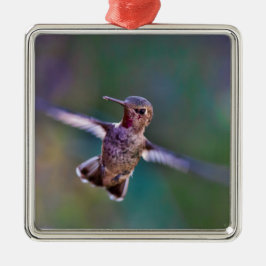 Hummingvogel Silbernes Ornament