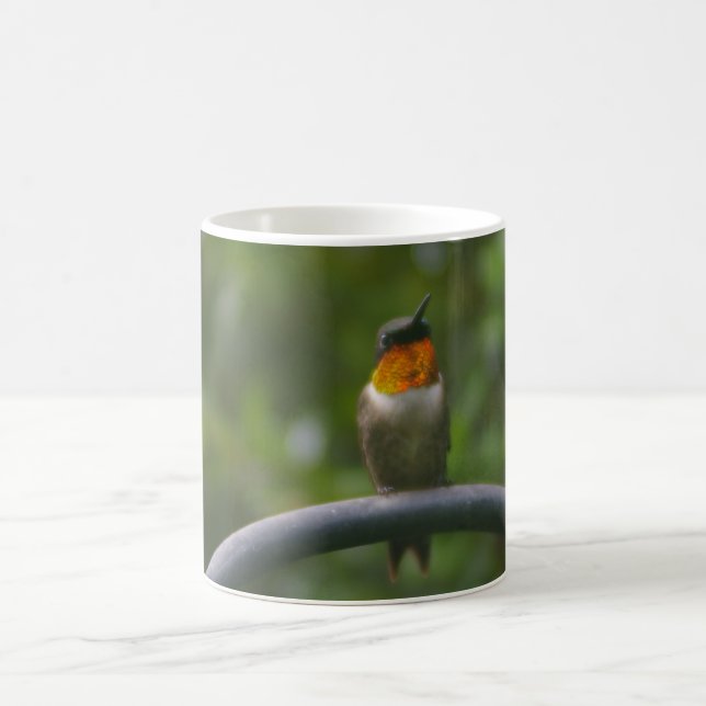 Hummingvogel Tasse (Mittel)