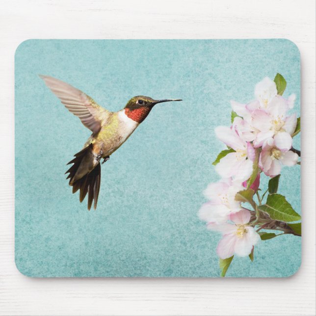 Hummingvogel und Apfelblüten Mousepad (Vorne)