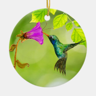Hummingvogel und Blume, die Möwe Keramik Ornament