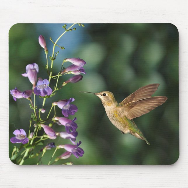 Hummingvogel und Blume Mousepad (Vorne)