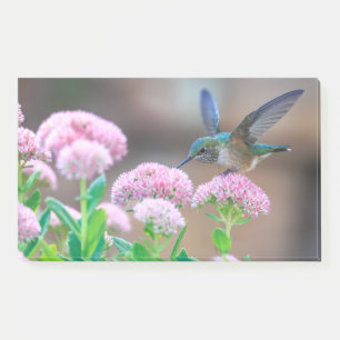 Hummingvogel und Blume Post-it Klebezettel