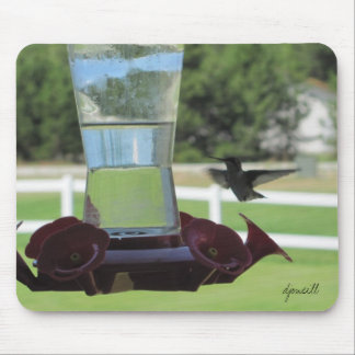 Hummingvogel und Feeder Mousepad