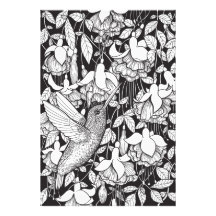 Hummingvogel und Fuchsie