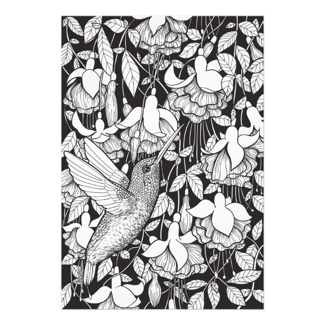 Hummingvogel und Fuchsie Fotodruck (Vorne)