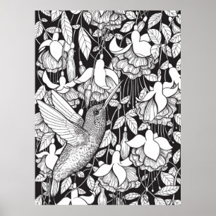 Hummingvogel und Fuchsie Poster