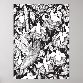 Hummingvogel und Fuchsie Poster