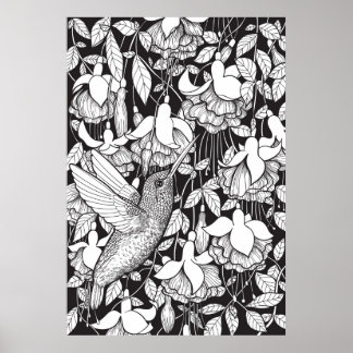 Hummingvogel und Fuchsie Poster