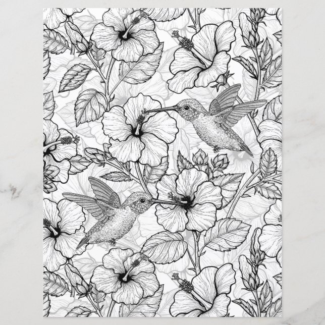 Hummingvögel und Hibiskus Blume b&w (Vorderseite)
