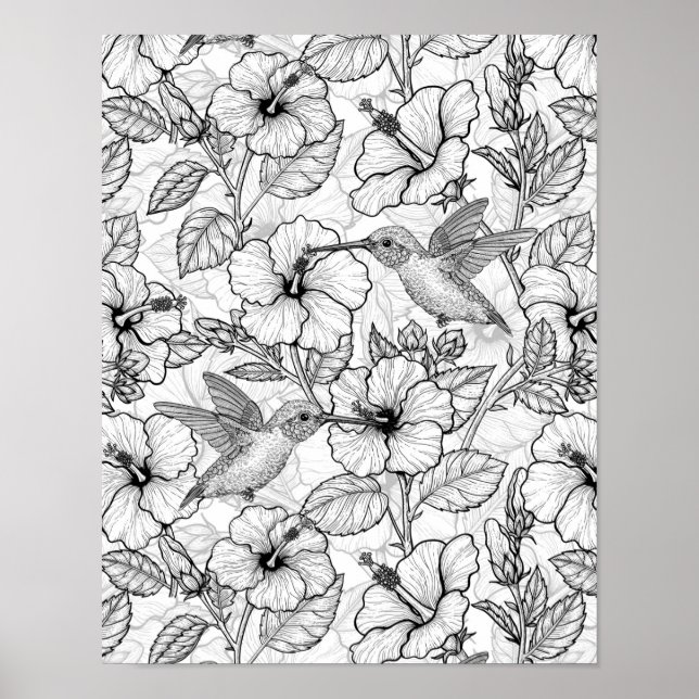 Hummingvögel und Hibiskus Blume b&w Poster (Vorne)
