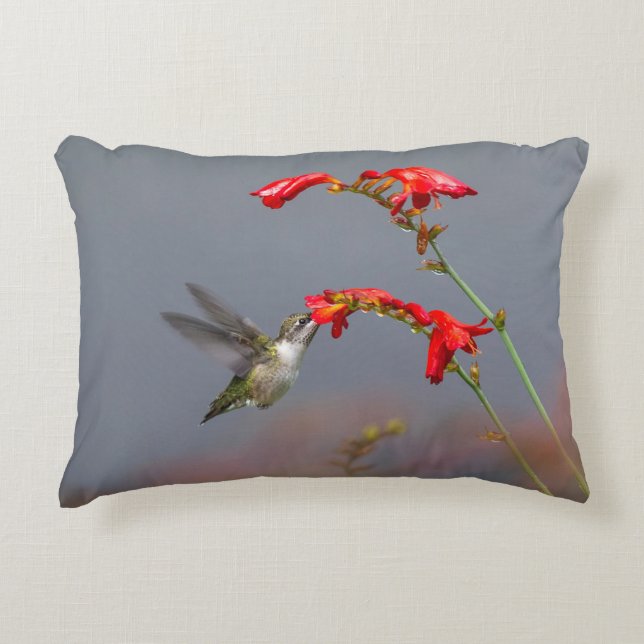 Hummingvogel und Krokodilmie Dekokissen (Vorderseite)