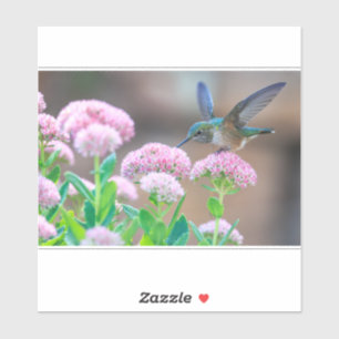 Hummingvogel und Nektar Aufkleber