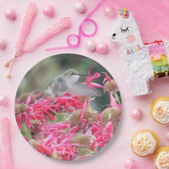 Hummingvogel und rosa Blume Pappteller (Party)