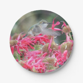 Hummingvogel und rosa Blume Pappteller
