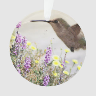 Hummingvogel und Wildblumen Digitale Kunst Ornament