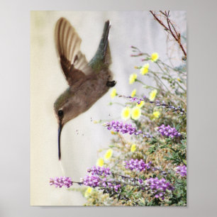 Hummingvogel und Wildblumen Digitale Kunst Poster