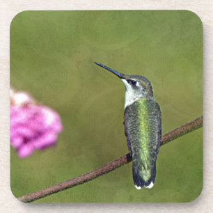 Hummingvogel und Zinnia Getränkeuntersetzer