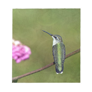 Hummingvogel und Zinnia Notizblock