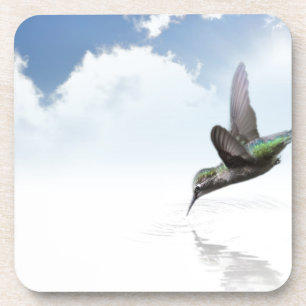 Hummingvogel Untersetzer