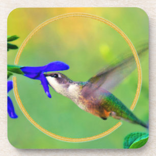 Hummingvogel Untersetzer