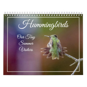 Hummingvögel, winziger Sommerbesuchskalender Kalender