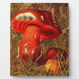 Humongous Fungus Amongus - Vintag Boletus Luridus Fotoplatte