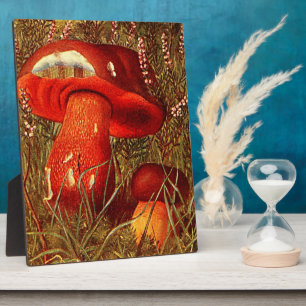 Humongous Fungus Amongus - Vintag Boletus Luridus Fotoplatte