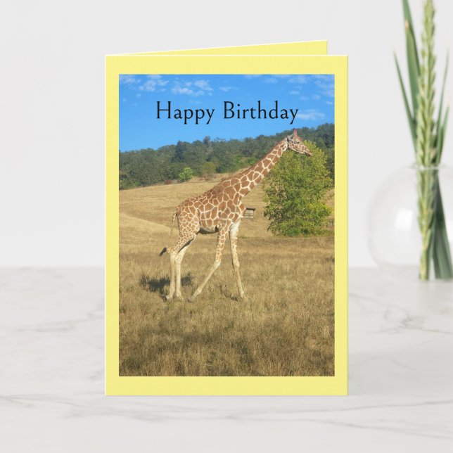 Humor Birthday Card Karte (Vorderseite)