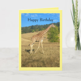 Humor Birthday Card Karte
