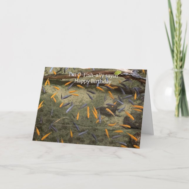 Humorale Fische Geburtstagskarte Karte (Vorderseite)