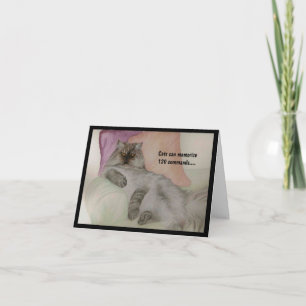 Humorale Katze als CAT Karte