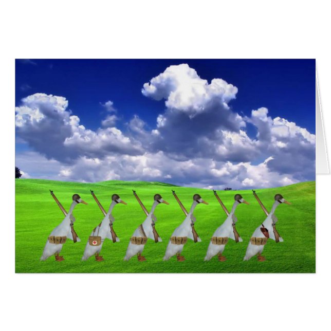 Humorale Läufer-Ente (Vorderseite (Horizontal))