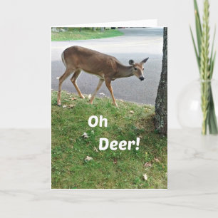 Humorale verspätete Geburtstagswünsche Karte