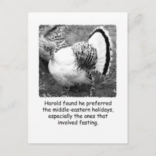 Humoraler Erntedank Post Card Feiertagspostkarte